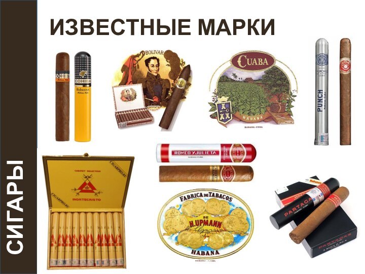 ИЗВЕСТНЫЕ МАРКИ   СИГАРЫ