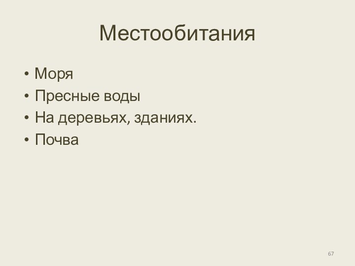 МестообитанияМоряПресные водыНа деревьях, зданиях.Почва