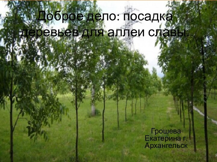 Доброе дело: посадка деревьев для аллеи славы.Грошева Екатерина г.Архангельск