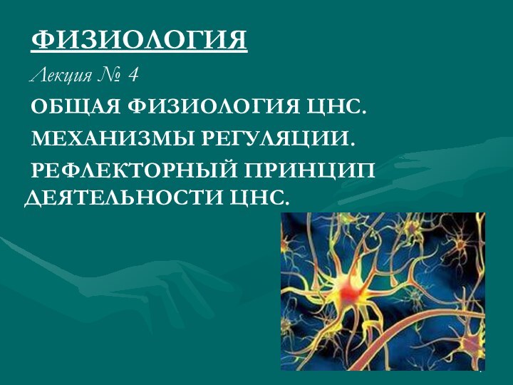 ФИЗИОЛОГИЯ	Лекция № 4	ОБЩАЯ ФИЗИОЛОГИЯ ЦНС.	МЕХАНИЗМЫ РЕГУЛЯЦИИ.	РЕФЛЕКТОРНЫЙ ПРИНЦИП ДЕЯТЕЛЬНОСТИ ЦНС.