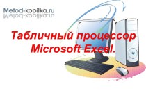 Табличный процессор Microsoft Excel