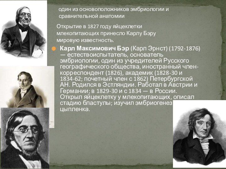 Карл Максимович Бэр (Карл Эрнст) (1792-1876) — естествоиспытатель, основатель эмбриологии, один из учредителей Русского