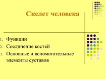 Скелет человека. Функции. Соединение костей. Основные и вспомогательные элементы суставов