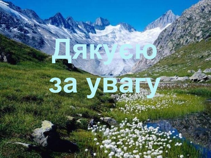 Дякуєю за увагу