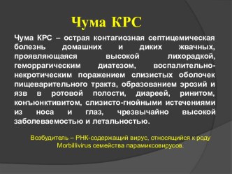 Чума КРС