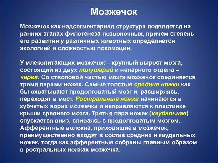 МозжечокМозжечок как надсегментарная структура появляется на ранних этапах филогенеза позвоночных, причем степень