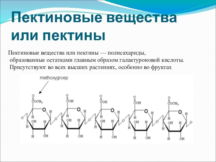 Пектиновые вещества или пектиныПектиновые вещества или пектины — полисахариды, образованные остатками главным