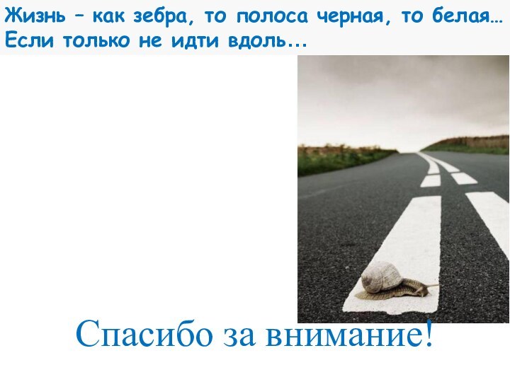 Спасибо за внимание!Жизнь – как зебра, то полоса черная, то белая…Если только не идти вдоль…