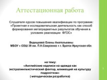 Аттестационная работа. Английские надписи на одежде как экстралингвистический фактор, влияющий на культуру подростков