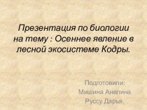 Осеннее явление в лесной экосистеме Кодры