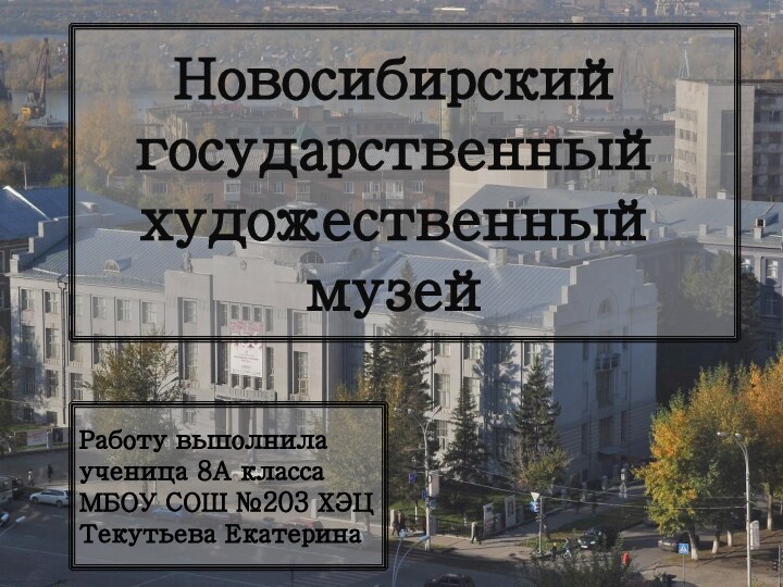 Новосибирский государственный художественный музейРаботу выполнила ученица 8А классаМБОУ СОШ №203 ХЭЦТекутьева Екатерина