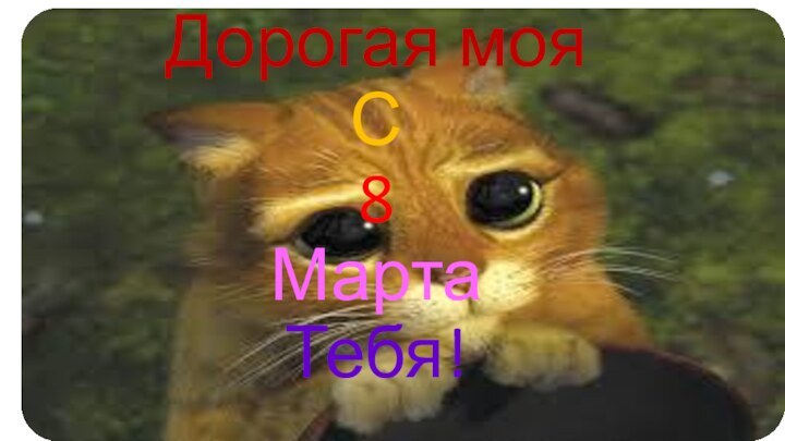 Дорогая мояС8Марта Тебя!