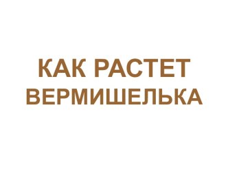 Как растет вермишелька