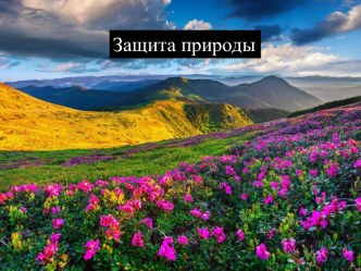 Защита природы