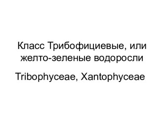 Желто-зеленые водоросли. Класс трибофициевые