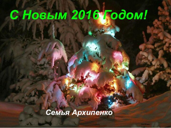 С Новым 2016 Годом!Семья Архипенко