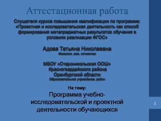 Аттестационная работа. Программа учебно-исследовательской и проектной деятельности обучающихся