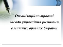 Організаційно-правові засади управління ризиками в митних органах України