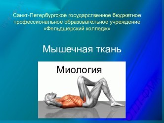 Мышечная ткань. Миология