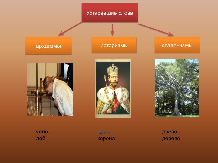 Устаревшие словаархаизмыисторизмыславянизмычело - лобцарь, коронадрево - дерево