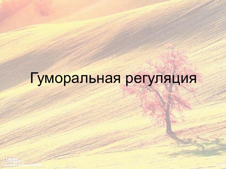 Гуморальная регуляция