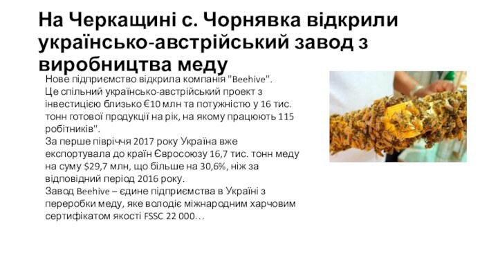 На Черкащині с. Чорнявка відкрили українсько-австрійський завод з виробництва медуНове підприємство відкрила