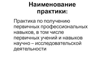 Практика по получению первичных профессиональных навыков, в том числе первичных учений научно – исследовательской деятельности