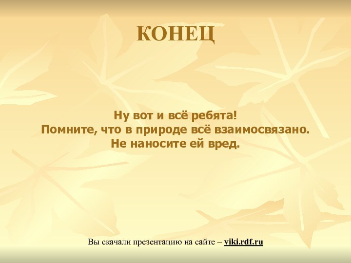 КОНЕЦВы скачали презентацию на сайте – viki.rdf.ruНу вот и всё ребята! Помните,