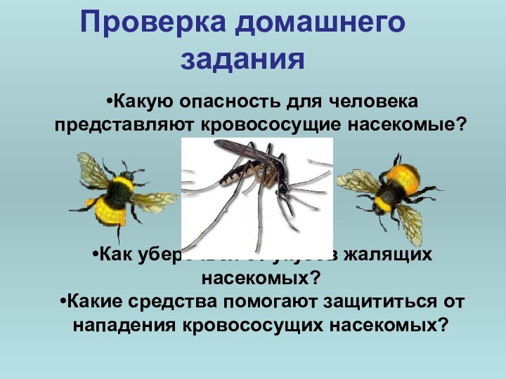 Проверка домашнего заданияКакую опасность для человека представляют кровососущие насекомые? Как уберечься от