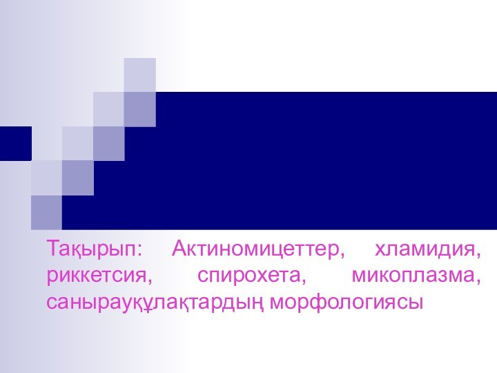 Тақырып: Актиномицеттер, хламидия, риккетсия, спирохета, микоплазма, санырауқұлақтардың морфологиясы