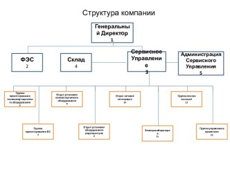 Структура финансово- экономической службы