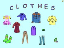The Clothes