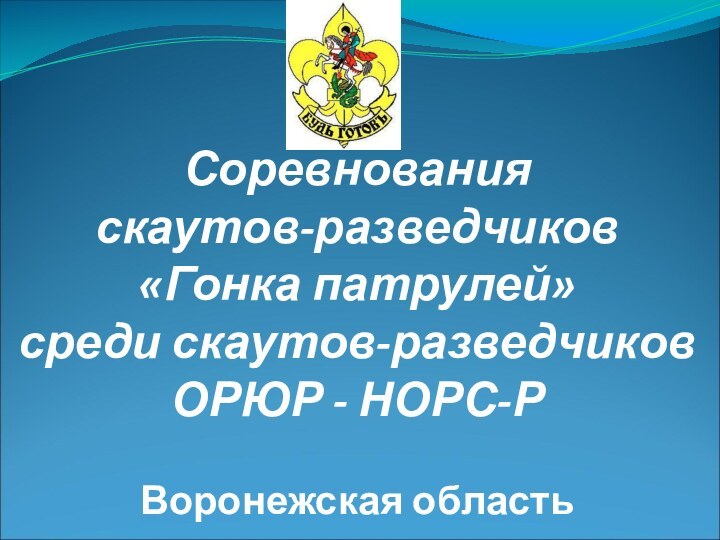 Соревнования  скаутов-разведчиков «Гонка патрулей» среди скаутов-разведчиков ОРЮР - НОРС-Р  Воронежская область