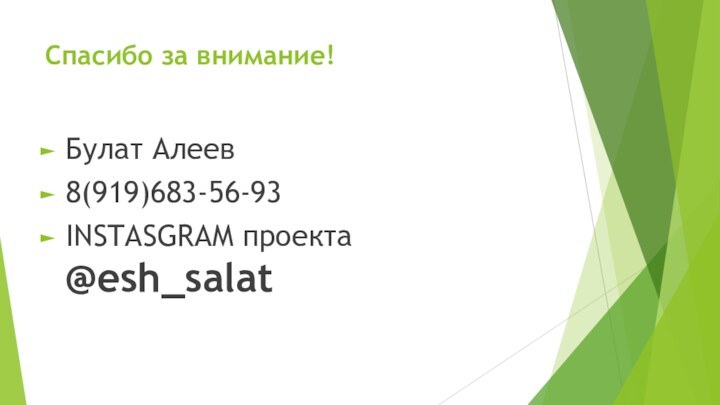 Спасибо за внимание!Булат Алеев 8(919)683-56-93INSTASGRAM проекта @esh_salat