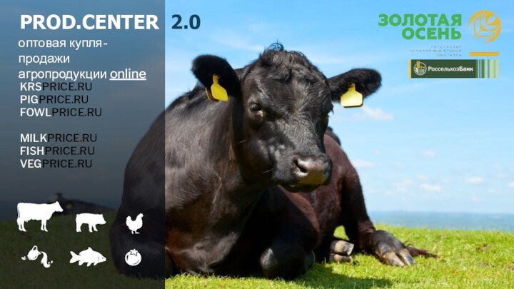 PROD.CENTER 2.0KRSPRICE.RU PIGPRICE.RU FOWLPRICE.RUMILKPRICE.RUFISHPRICE.RUVEGPRICE.RU   оптовая купля-продажи агропродукции online