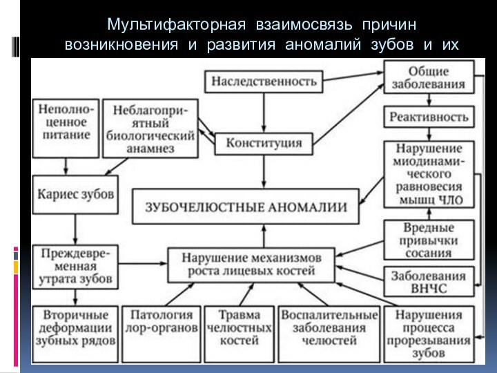 Мультифакторная взаимосвязь причин возникновения и развития аномалий зубов и их положения