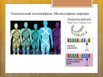 Генетический полиморфизм. Молекулярные маркеры