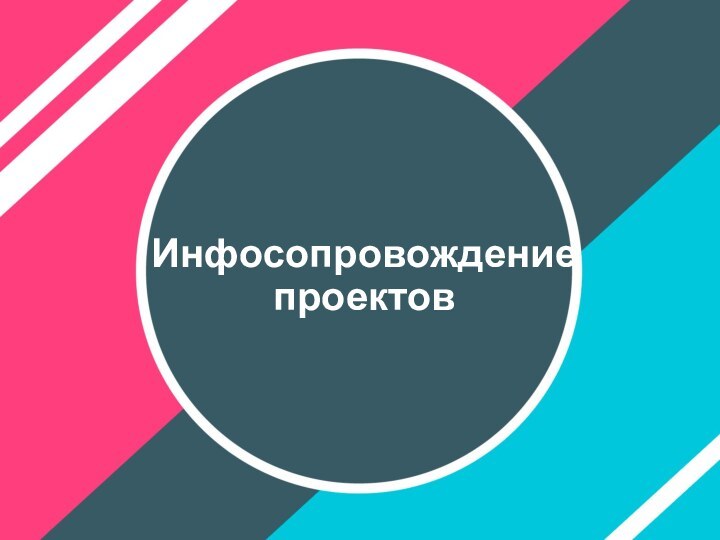 Инфосопровождение  проектов