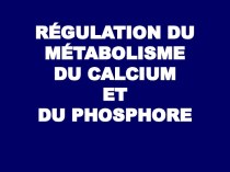 Régulation du métabolisme du calcium et du phosphore