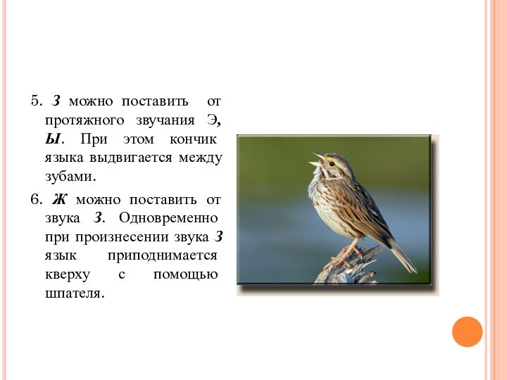 5. З можно поставить от протяжного звучания Э,Ы. При этом кончик языка