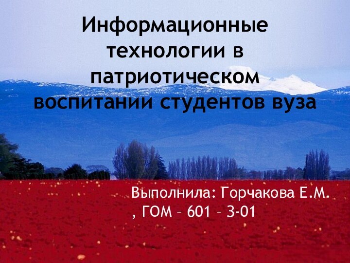 Информационные технологии в патриотическом воспитании студентов вузаВыполнила: Горчакова Е.М. , ГОМ – 601 – З-01