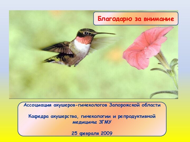 Благодарю за вниманиеАссоциация акушеров-гинекологов Запорожской областиКафедра акушерства, гинекологии и репродуктивной медицины ЗГМУ25 февраля 2009