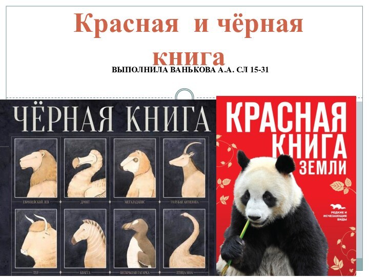 ВЫПОЛНИЛА ВАНЬКОВА А.А. СЛ 15-31Красная и чёрная книга