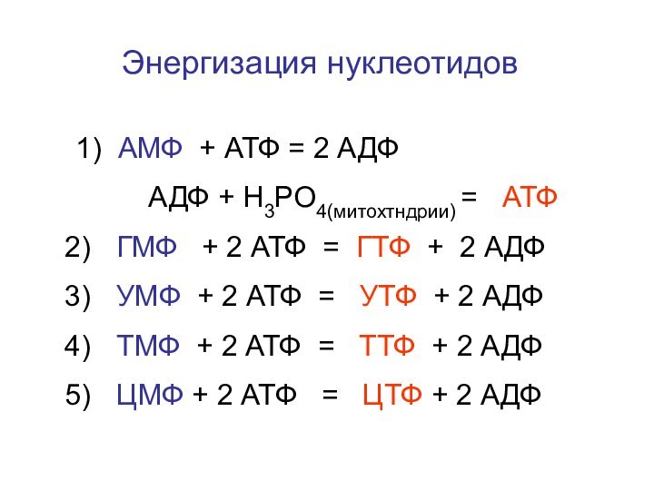 Энергизация нуклеотидов1) АМФ + АТФ = 2 АДФ