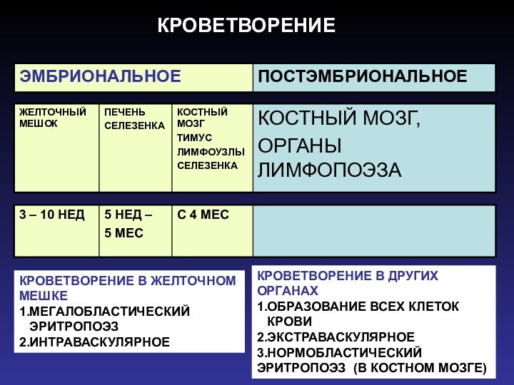 КРОВЕТВОРЕНИЕКРОВЕТВОРЕНИЕ В ЖЕЛТОЧНОМ МЕШКЕ1.МЕГАЛОБЛАСТИЧЕСКИЙ   ЭРИТРОПОЭЗ2.ИНТРАВАСКУЛЯРНОЕКРОВЕТВОРЕНИЕ В ДРУГИХ ОРГАНАХ1.ОБРАЗОВАНИЕ ВСЕХ КЛЕТОК