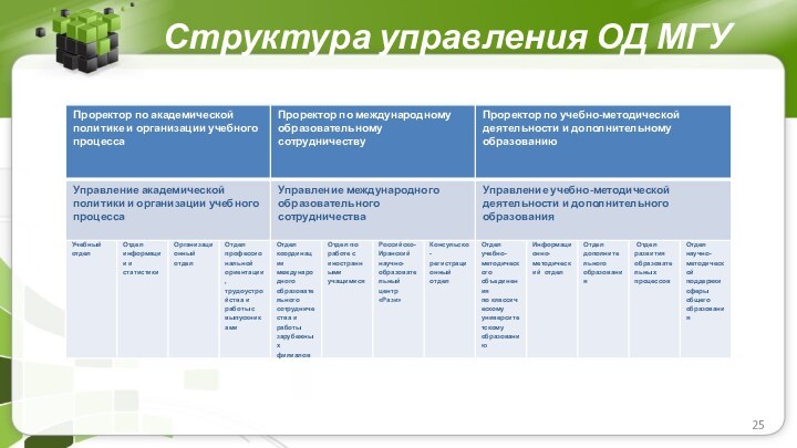 Структура управления ОД МГУ