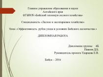 Специальность Лесное и лесопарковое хозяйство. Тема: Эффективность рубок ухода в условиях Бийского лесничества