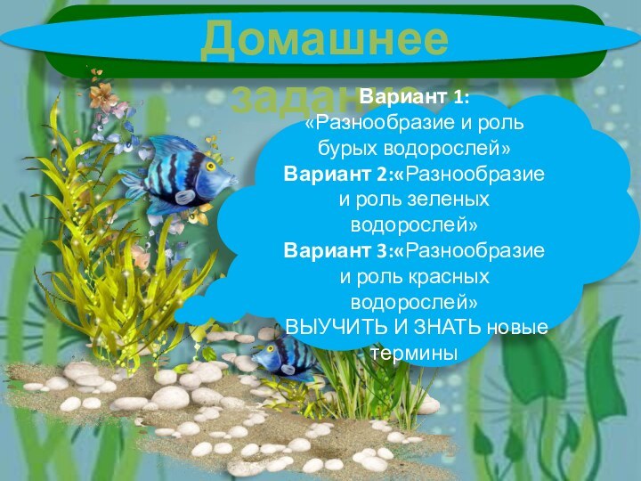 Домашнее заданиеВариант 1: «Разнообразие и роль бурых водорослей»Вариант 2:«Разнообразие и роль зеленых