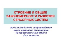 Строение и общие закономерности развития сенсорных систем