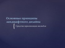 Основные принципы ландшафтного дизайна